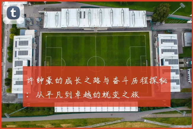 许钟豪的成长之路与奋斗历程探秘：从平凡到卓越的蜕变之旅