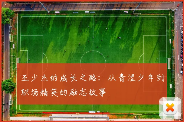 王少杰的成长之路：从青涩少年到职场精英的励志故事