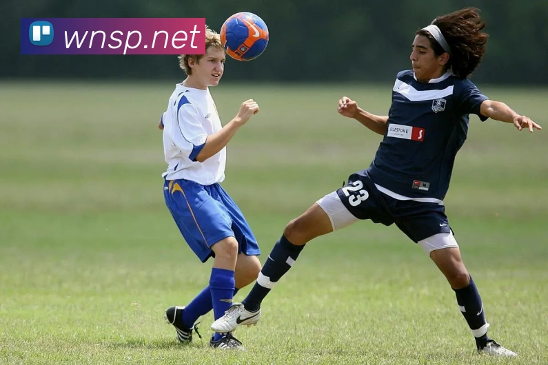  威尼斯人平台生态图